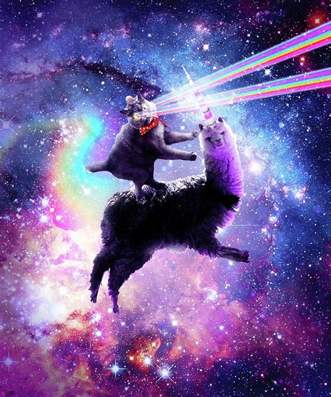 Cats In Space Laser