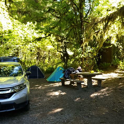 South Fork Hoh Campground Camping The Dyrt