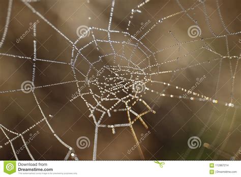 7821 eastside rd, healdsburg ca 95448. Located Along The Russian River, Riverfront Regional Park ...