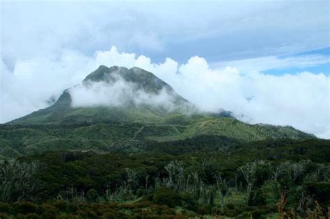 5 Reasons Why Life Is In Davao Climbing Mount Apo