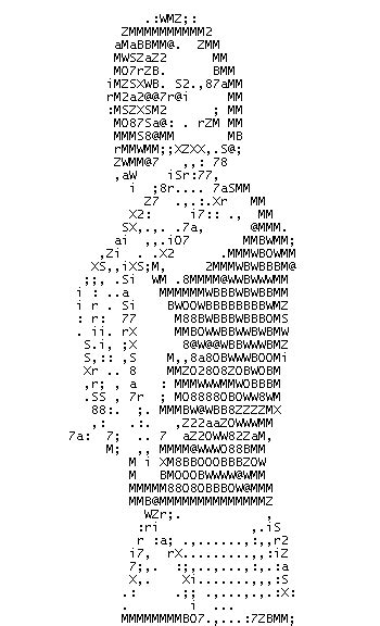 Image ASCII Art Know Your Meme