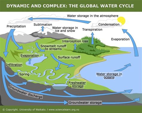 Science Biology The Water Cycle Diagram Quizlet