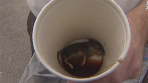 Man Claims To Find Dead Mouse In Coffee Cup Erin Burnett Outfront Blogs