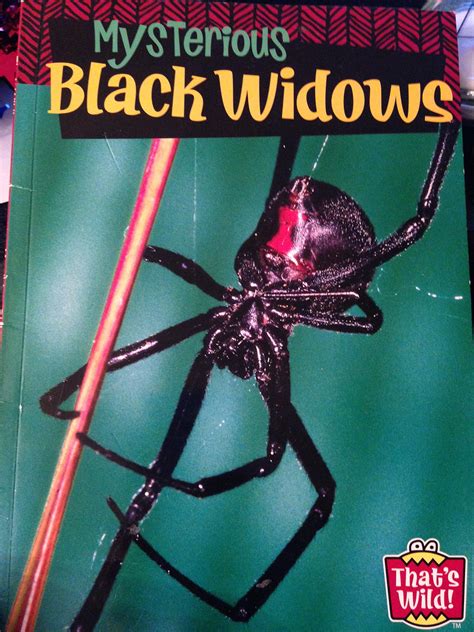 Mysterious Black Widows Thats Wild By Peter Murray Goodreads