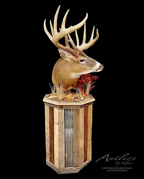 Whitetail Pedestal Mount