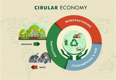 Infographic Icon Circular Economy