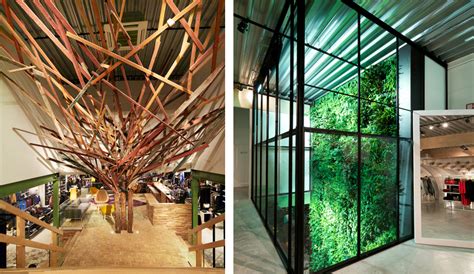 What is Biophilic Design and How Does It Work for Retailers? — Momentum