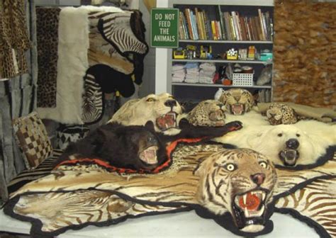 Persian rugs are a real investment. Wild Bill's Furs - Trophy Hospital For Restoration and ...