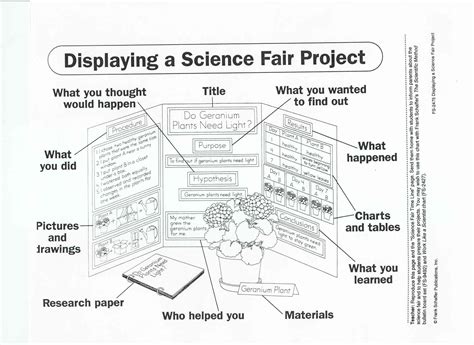 Science Fair Project Display Board Science Fair Projects Science