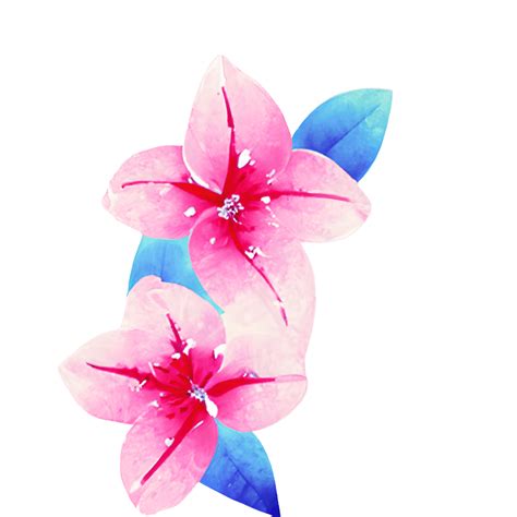 Watercolor Lilly Floral Background Creative Fabrica