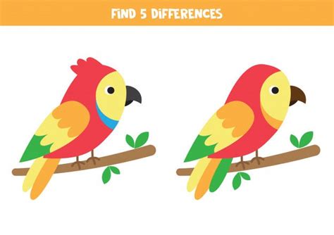 5 Things That I Learned From Playing The ‘Spot The Difference’ Game