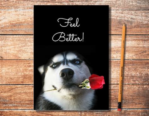 Get Well Card Cute Dog Feel Better Husky And Rose Pretty Etsy