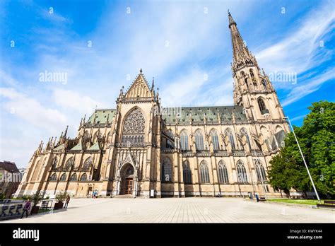 New Cathedral Or Cathedral Of The Immaculate Conception Or St Mary Church Is A Roman Catholic