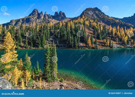 Blue Lake Washington State Stock Image Image Of Wilderness Trees