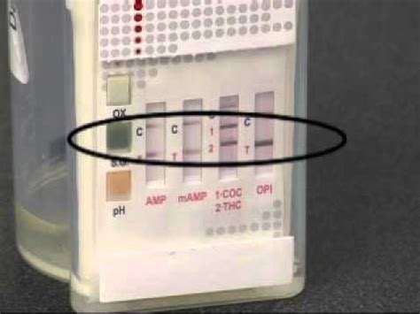 This may depend on the type and how to read the results. iCup Drug Testing Video - YouTube