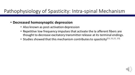 Pathophysiology Of Spasticity Intra Spinal Mechanism Iv World Stroke