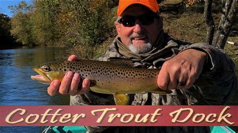 Arkansas White River Trout Fishing Report November 6 2019 Youtube