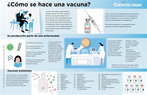 infografÍa ¿cómo se hace una vacuna ciencia unam