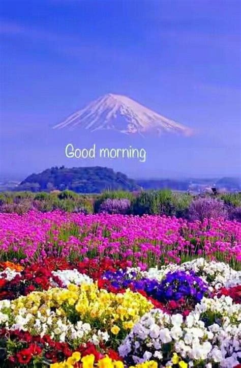 We have 30+ latest wallpapers of good morning with village nature in we have tried to cover every angle of the village from morning point of view. Good Morning greetings | Beautiful nature, Beautiful ...