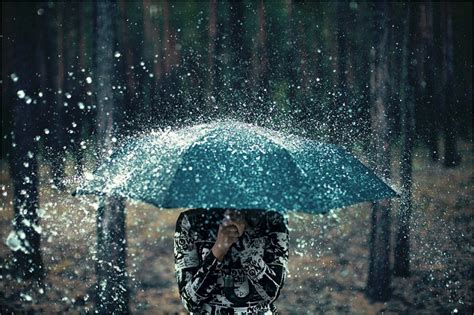 30 Colorful Photographs Of Umbrella Incredible Snaps