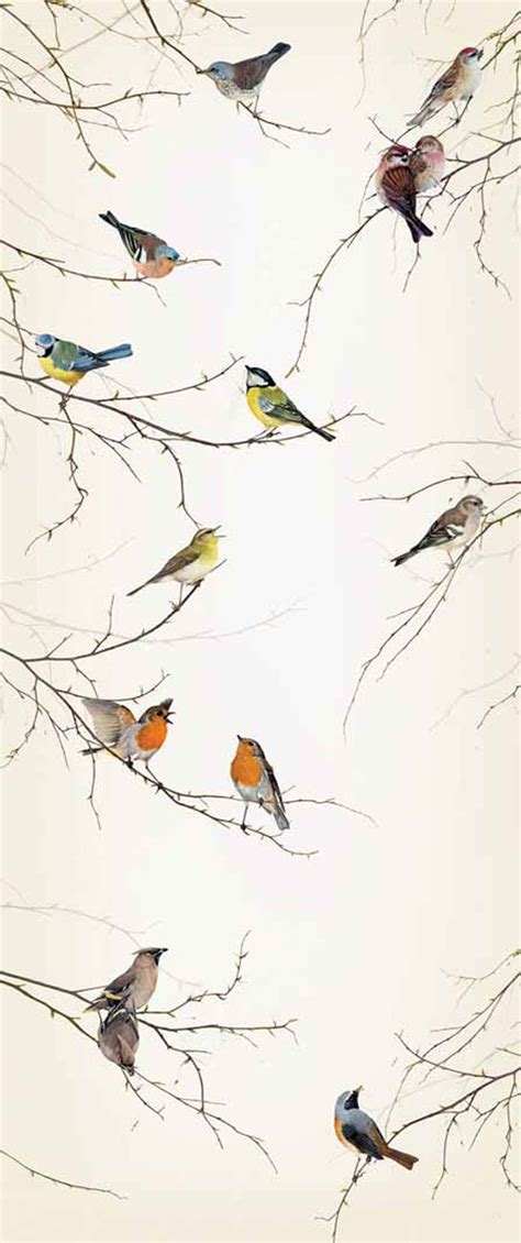Birds Wallpaper Mural Ideal Para Representar Un Ambiente