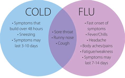 Cold sores will usually heal within 2 weeks without treatment. Colds and flu - What's the Difference - Family Health Diary