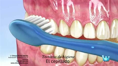 Cepillado Seda Dental Y Colutorios C Mo Youtube