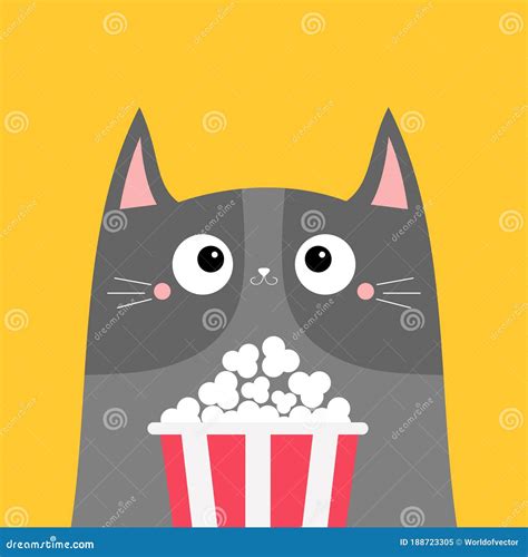 Gray Cat Popcorn Box Cute Cartoon Funny Character Kids Print For