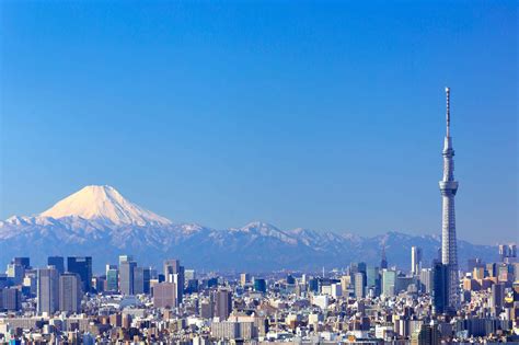 Five Reasons To Visit Tokyo Japan Lawlor Media Group