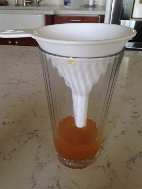 Great Remedy For Gnats Thats Apple Cider Vinegar In The Glass Gnats