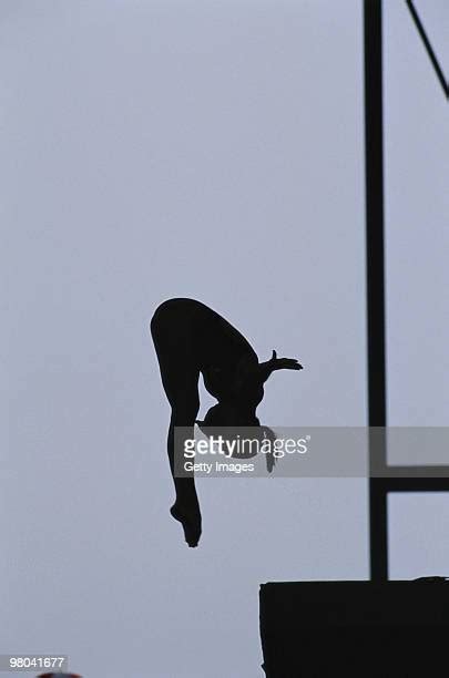 Olympic Diver Silhouette ストックフォトと画像 Getty Images