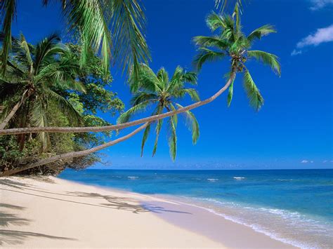 Banco De ImÁgenes Gratis Playas Paradisiacas Parte V 10 Paraísos