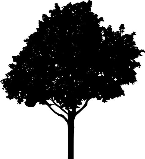 Use it in your personal projects or share it as a cool sticker on whatsapp, tik tok, instagram, facebook messenger, wechat, twitter or in other messaging apps. 45 Tree Silhouettes PNG Transparent Background | OnlyGFX.com