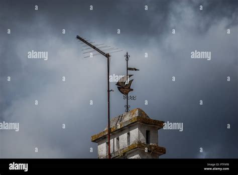 This Is For You Stock Photo Alamy