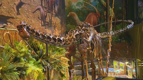 Dinosphere Exhibit Reopens At Childrens Museum Following Renovations