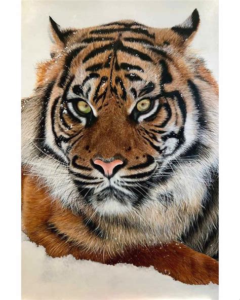 Pin By Roz Edwards On Paintings Of Lions And Tigers In 2021 Wildlife