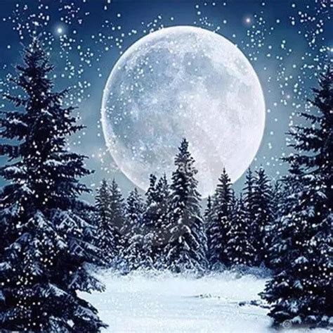 Us Seller 40x40cm Full Moon Stars Snow Trees Night Etsy Painting