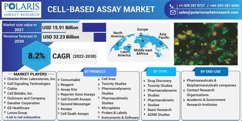 Global Cell Based Assay Market Size Report 2022 2030