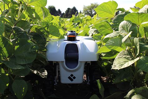 Vision For Ultra Precision Agriculture Includes Machine Learning