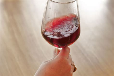 The Five S's of Wine Tasting: See - Swirl - Sniff - Sip ...