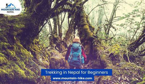 Trekking In Nepal For Beginners A Comprehensive Guide