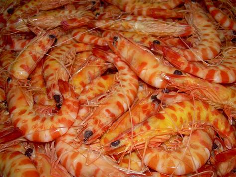 Langostino Cocido Rayado 20 30 Precio Kg Pescaderias Los Madrileños