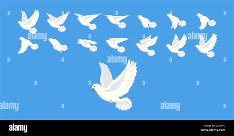 Pigeon Animation Bird Motion Wings In Heaven Birds Sequence Frame