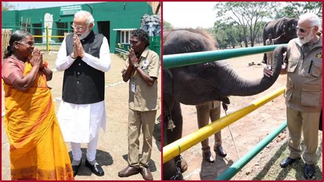 Watch Pm Modi Meets The Elephant Whispers Couple Bomman And Belli