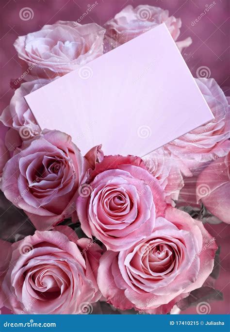 Pink Roses With A Greeting Card Royalty Free Stock Photo Image 17410215