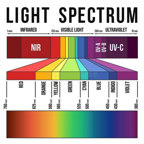 Light Spectrum Range Of The Visible Light And Colors In The Light