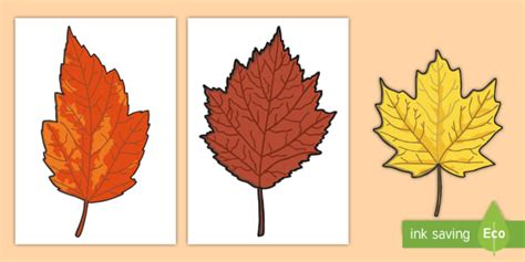 👉 Autumn Leaf Template Printables Primary Resource Twinkl