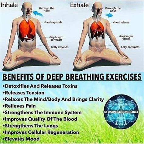 Calm Your Mind Yoga Breathing Techniques Yoga Breathing Restorative