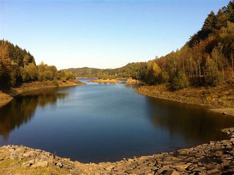 Free Photo Lake Forest Autumn Trees Landscape Water