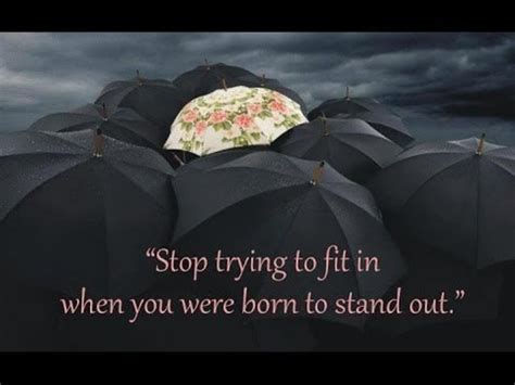 Why Are You Trying To Fit Inwhen You Were Born To Stand Out